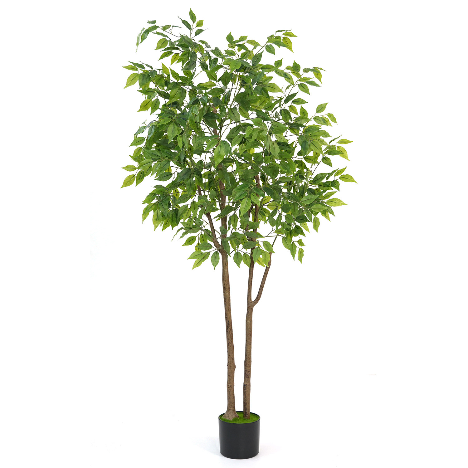 Mini banian de 160 cm