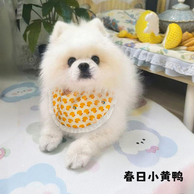Summer Little Yellow Duck Design