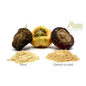 Maca ราก100% ธรรมชาติ Gelatinized Maca ผงเปรู - Product Image 1