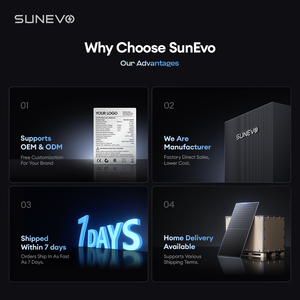 Sunevo Home Use Solar Panel <strong>Kit</strong> 550W 585W 590W 595W 600W 700W 750W Double Glass Photovoltaic Energy Panels PV Module for House