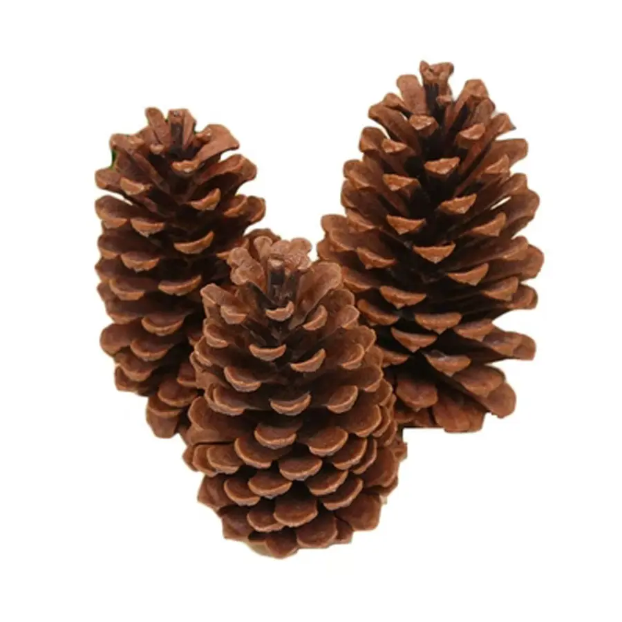 Christmas Decoration Small Size 3-4cm Wood Christmas Tree Pendants Natural Pine Cones