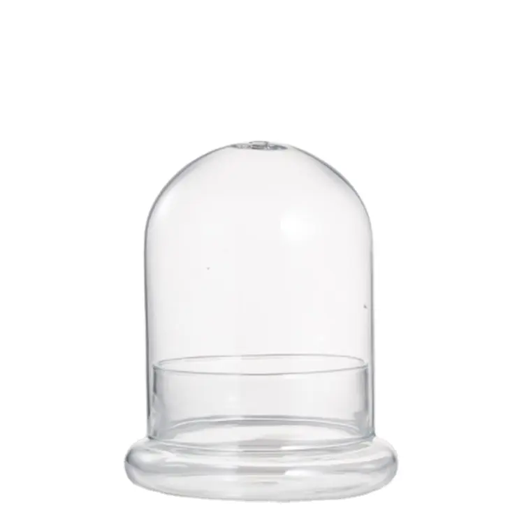 Cúpula de exhibición de vidrio transparente Cloche de vidrio transparente Campana Tarro Terrario Cúpula de exhibición Caja decorativa para plantas suculentas