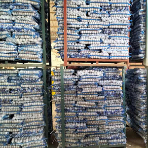 Рыночная цена на очищенный чеснок/свежий белоснежный чеснок/свежий чеснок нормальный белый чистый белый - Product Image 5