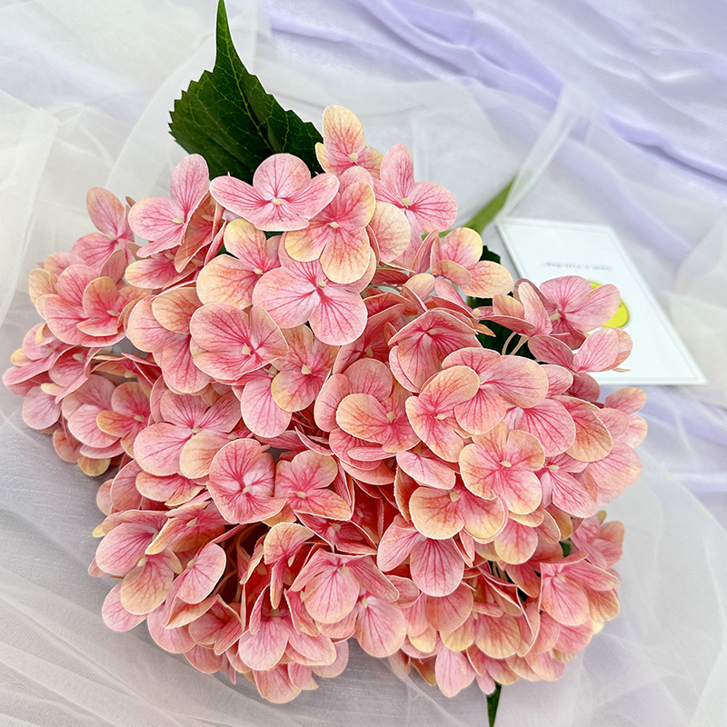 Viande rose