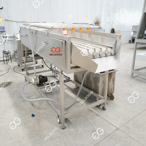 Macchina per la lavorazione della frutta commerciale completamente automatica datteri rossi per la pulizia dello smistamento delle dimensioni della macchina - Product Image 5