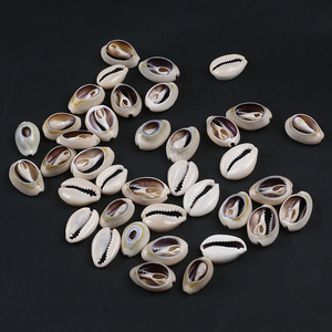 Doğal zanaat yarım kesim bölünmüş deniz kabuk Cowrie Shell dekor deniz kabuğu kabuklu deniz hayvanı kabuğu - Product Image 4