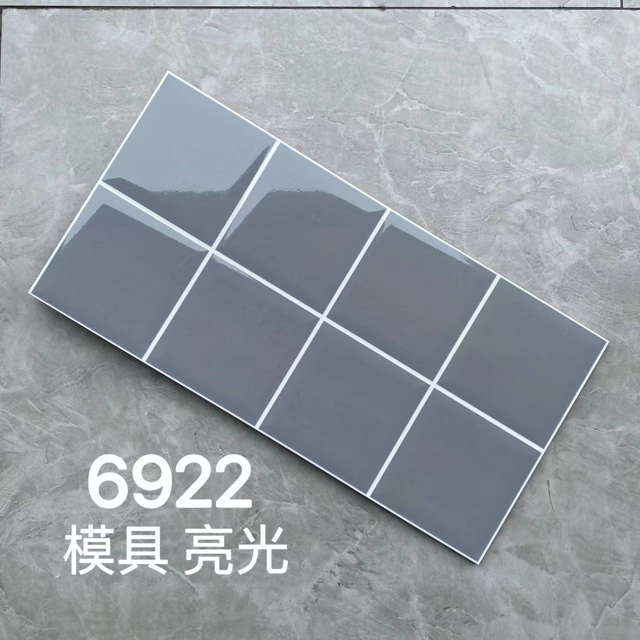 6922 - 300x600mm