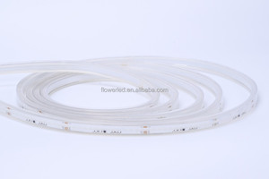 FLOWER ILLUMINATION Outdoor IP68 Classic <strong>LED</strong> Strip Light Normally on 120LEDs/m Facade Building Outline Lighting Strip Light - Product Image 4