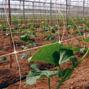 Impianto di rete a traliccio in plastica HDPE portatile per rete rampicante di supporto per frutta e verdura in serra - Product Image 5