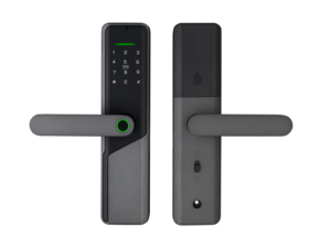 メインドア入口ロックアクセス制御ロック外部スマートデジタルドアセキュリティフロントハンドルTtlock Tuyaキー入力 - Product Image 6