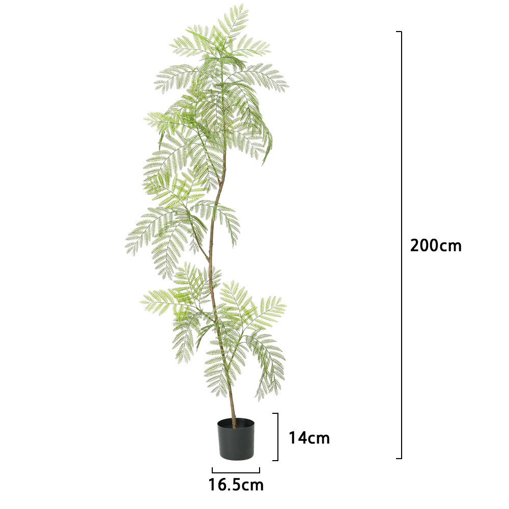 Green-6.6FT