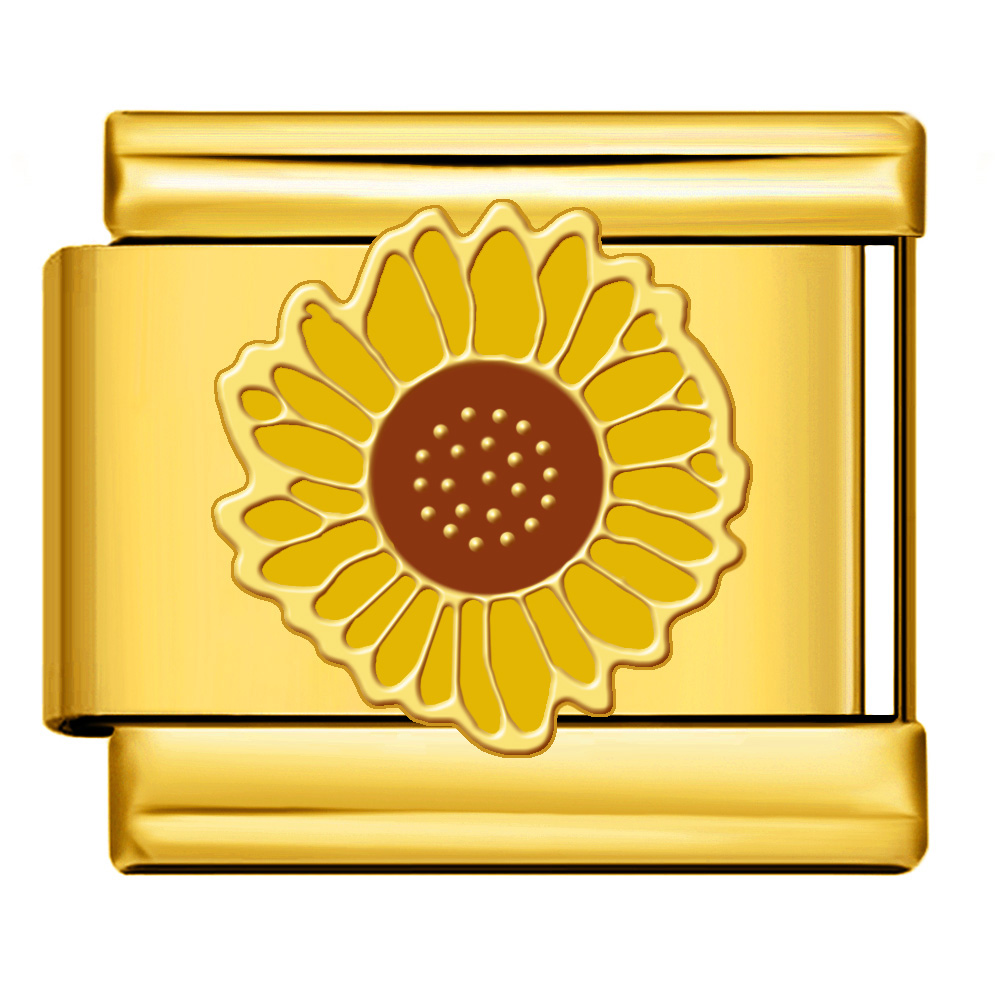ICJ524-2