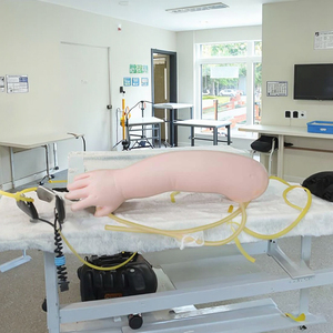 Puncture Training Thermoplastic Road Marking Material Soft Skin the <strong>Back</strong> of the Hand Advanced Infant Venous Puncture Arm Model - Product Image 5