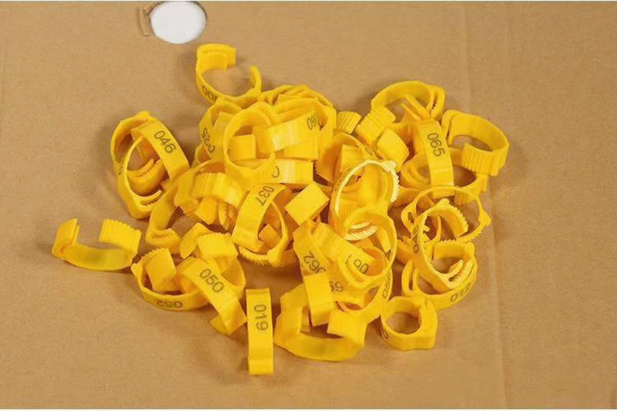 Jaune