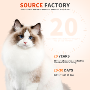 Shengfeng vui mèo đồ chơi chơi phụ kiện thay thế tập tin đính kèm đầu dây thép Cổ Tích Lông Mèo trêu ghẹo dính với chuông - Product Image 2