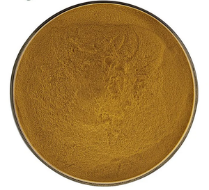 Doğal RB1 + RG1 + R1 Panax Notoginseng özü/Sanchi özü/Radix Notoginseng tozu/Notoginsenosides - Product Image 4