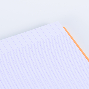 Оптовая продажа, специальная цена, A4, большой размер, разноцветные, подходящие по цвету профессиональные французские линии, внутренние страницы, спиральный блокнот - Product Image 5