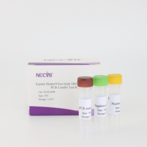 At herpesvirüs 1 ve 4 PCR kiti-gerçek zamanlı dubleks test, veteriner laboratuarları için yüksek hassasiyet - Product Image 4