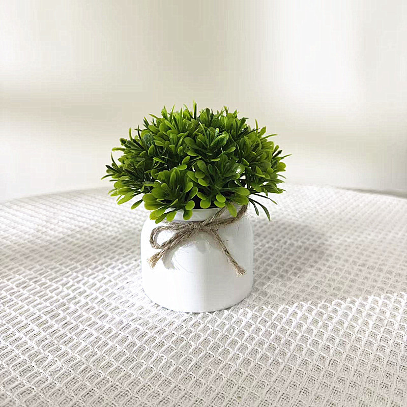 Verde: Nuevo Hemisferio de Orquídeas y Pastos