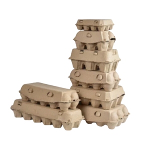 Hộp đựng trứng bảo vệ môi trường chống sốc khay trứng phân hủy, khay trứng bột giấy loại bỏ để vận chuyển - Product Image 1