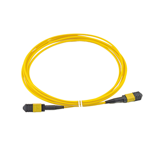 24コアSMエリートMTP MPO APCメスコネクタトランクファイバーケーブルMPO-MPO光ファイバーパッチコード - Product Image 4