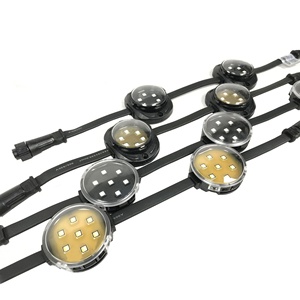 LED Pixel Light 30มม. DC12V แหล่งกำเนิดแสง Led สีเต็มรูปแบบสำหรับจอแสดงผล Led Pixel ป้ายไฟตกแต่งสวนสนุก
