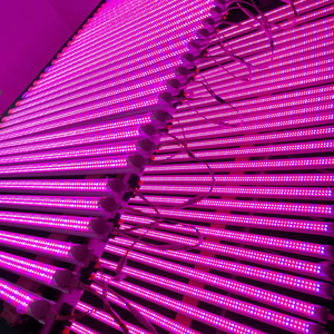 2FT/3FT/4FT LED Grow Light 13W/18W T8 V รูปร่างหลอด LED,Linkable LED เติบโตแสงสำหรับผักดอกไม้และสตรอเบอร์รี่ - Product Image 5