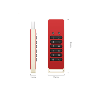 Rosy Gold Metal Pass Code daten gesperrte USB-Speichersticks 32 GB 64 GB 128 GB, USB3.0 hochgeschwindigkeitsverschlüsselte USB-Flash-Disk - Product Image 5