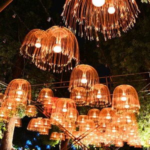 Colorful Fiber Optic Led Night <strong>Light</strong> Modern Art RGB Seven Colors Changeable Large Jellyfish <strong>Light</strong> in Holiday Lighting - Product Image 3