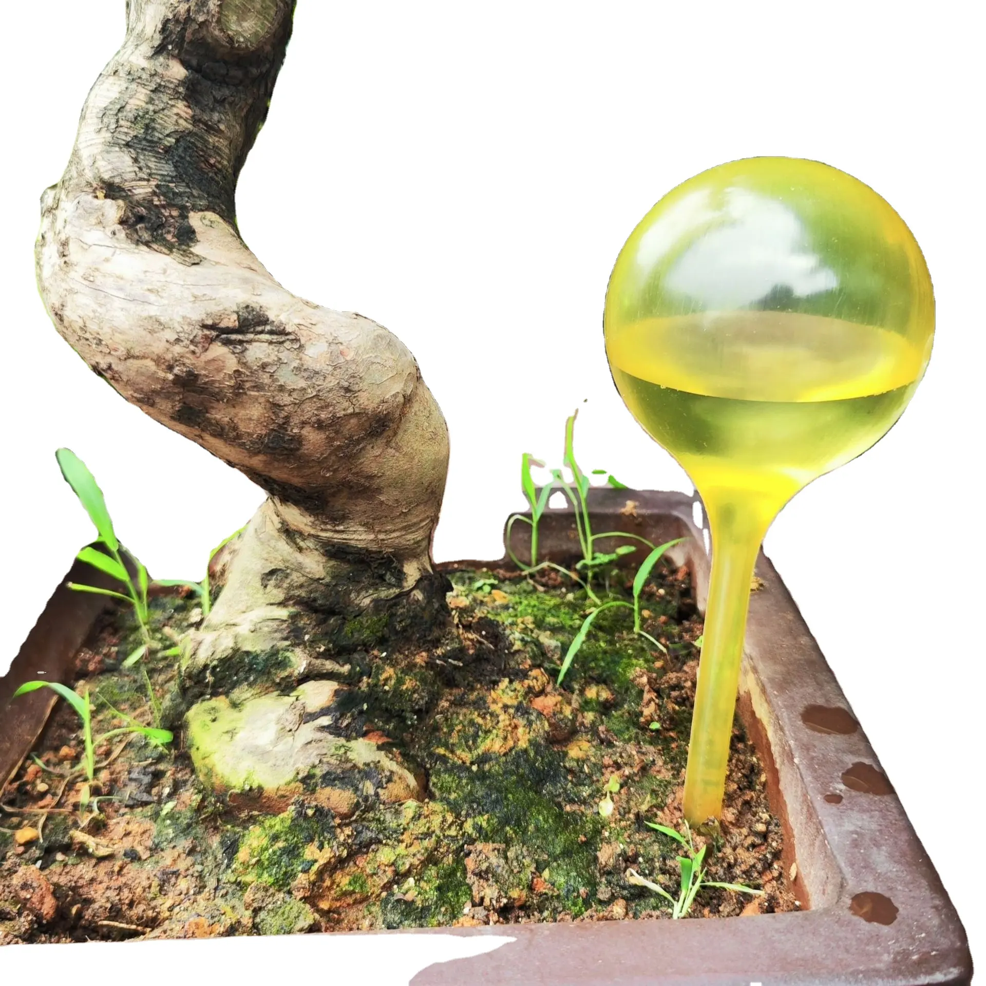 Kunststoffblumen-Selbstbedienkugeln Bewässerung Gartenbewässerungskugeln automatische Bewässerungskugeln bunte Pflanzenbewässerungskugeln