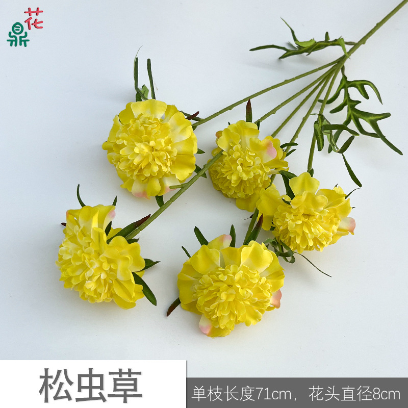 Cordyceps jlk amarillo