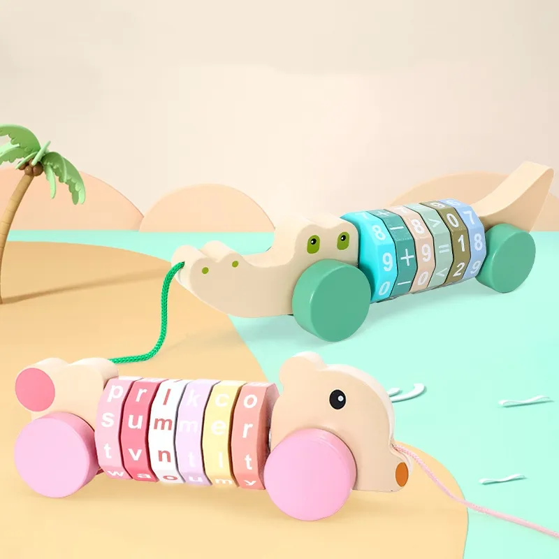 두뇌 게임 다채로운 나무 트위스트 웜 퍼즐 큐브 곰 아기 몬테소리 조기 교육 나무 교육 어린이 장난감