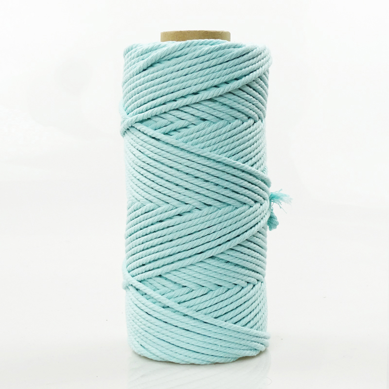 Light blue 4mm 100m comes with tutorial