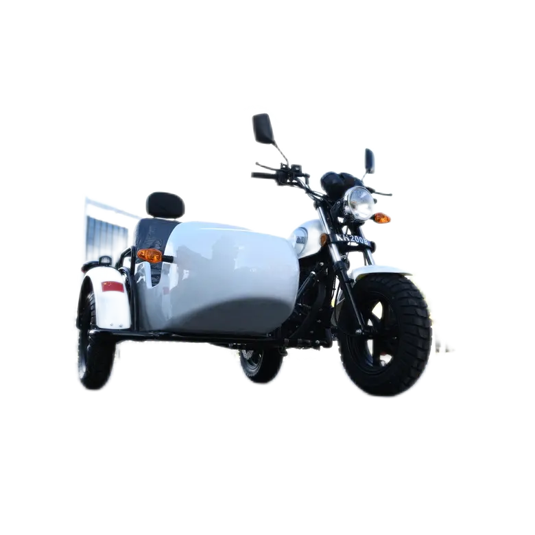 Benzinli güç 150cc 200cc hızlı hızlı gaz köpek pet üç tekerlekli bisiklet ile sidecar