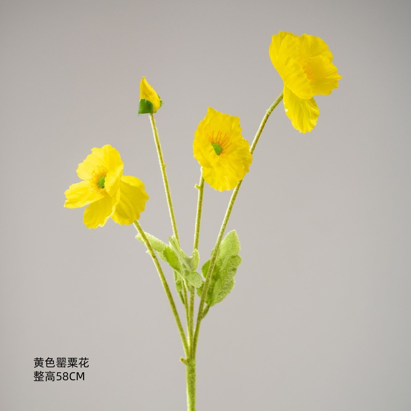 Coquelicot jaune