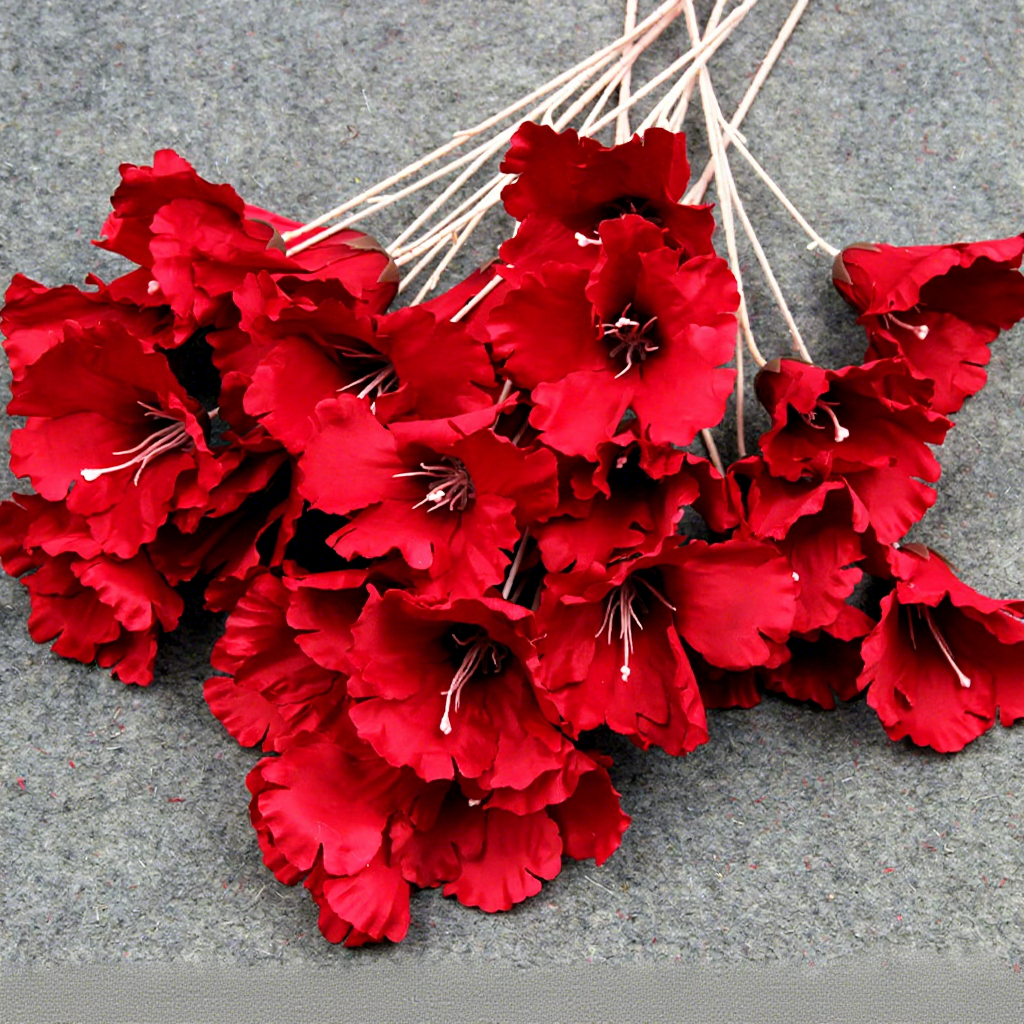 Kapok rojo / pc