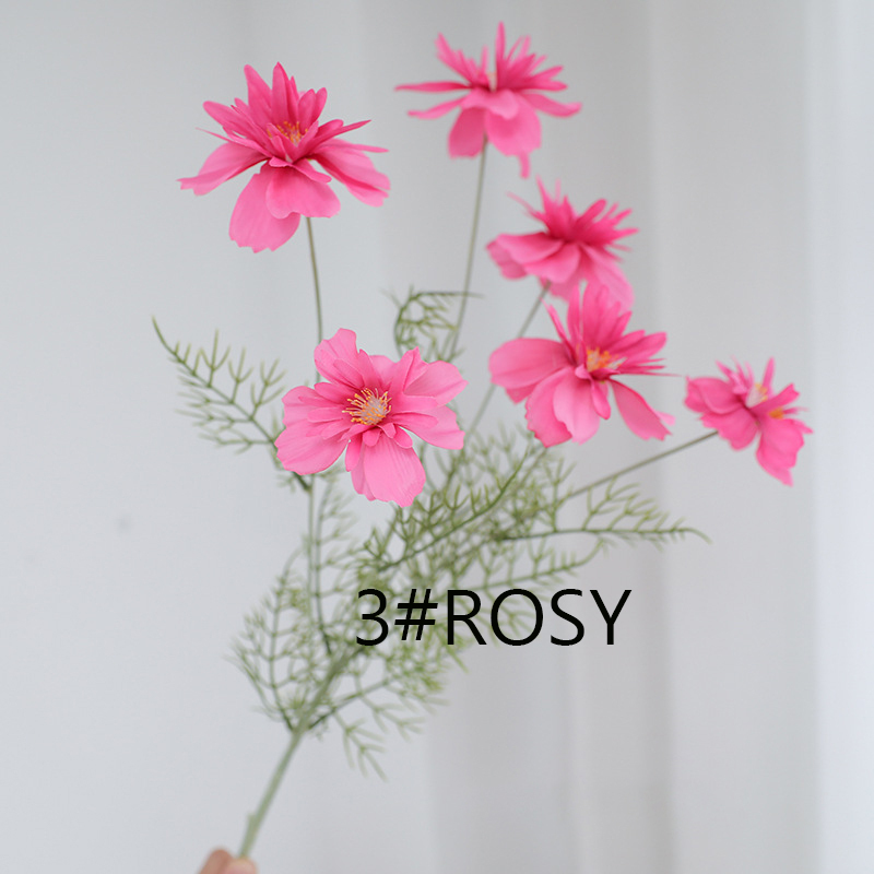 Rosy