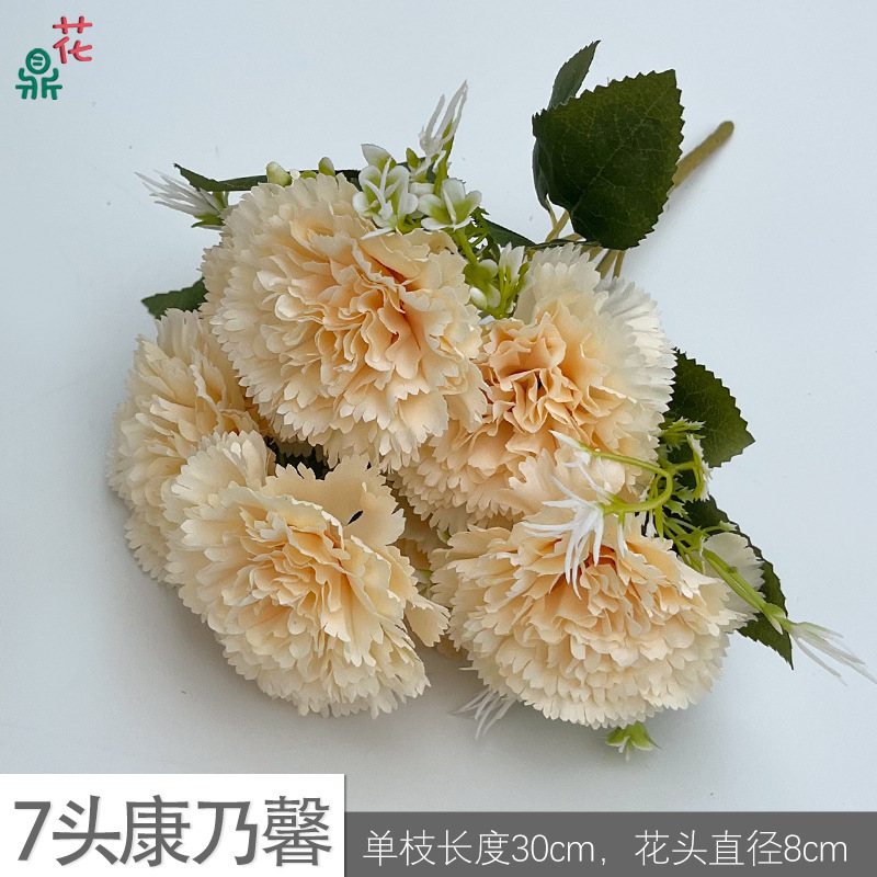 ดอกคาร์เนชั่น 7 หัว สีแชมเปญ XC