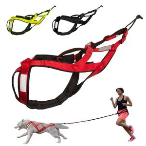 ペットトレーニングそりプルベストXバックソフトパッド入りハスキーナイロンハーネスそり犬の重量引き固体ペットハーネス