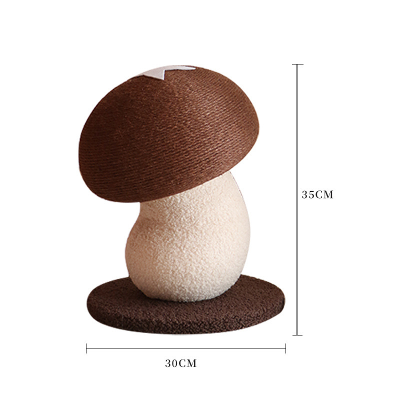 Setas shiitake pequeñas 35*30