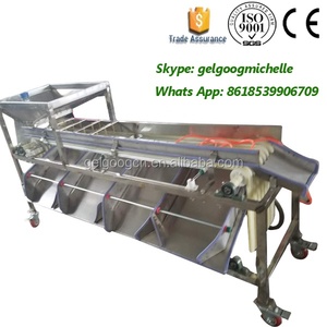 Buona Prestazione Plum Date Smistamento Macchina Grader Date di Classificazione Macchina - Product Image 4