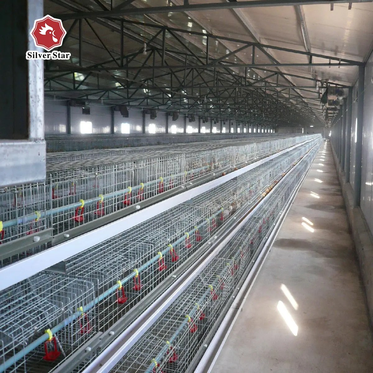Henen factory-jaula galvanizada para aves de corral, jaula para pollos, conejos