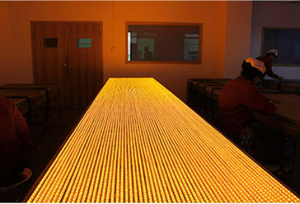 12V/24V RGB遥控发光二极管条SMD 5050 IP65-120LEDs/m硅胶景观照明，带CE/RoHS，用于户外装饰 - Product Image 5