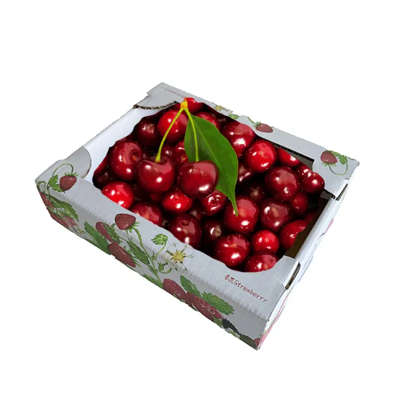 Embalaje de papel de impresión de tamaño personalizado Caja de embalaje de cartón de fruta de cereza corrugada para embalaje de exportación de fruta fresca