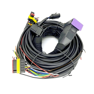 Venta al por mayor de arnés de cables para 3 4 cilindros automotriz CNG LPG Kit de conversión de gas Sistema de Control de inyección secuencial MP48 ECU Kit - Product Image 4