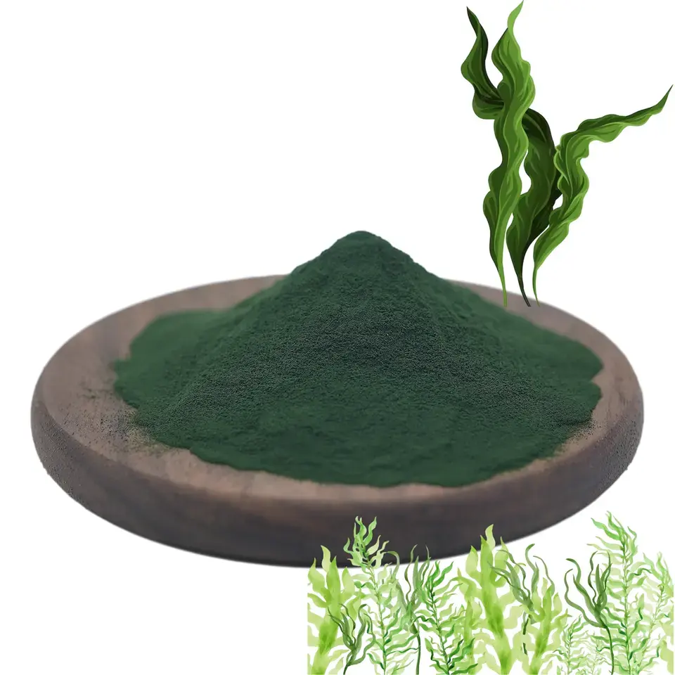 Fornecimento de fábrica para fornecedores de Spirulina Premium por atacado de alta qualidade 100% puro pó de Chlorella Spirulina