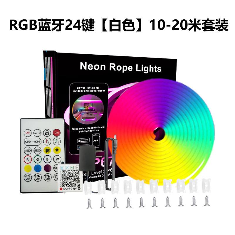 10m Neon Light RGB413 60LEDs