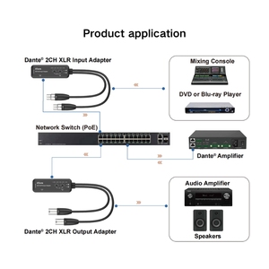 AVIO convertire 2 canali Audio analogico a livello di linea da Pro AV a Dante ingresso Dante a livello di linea Pro AV Audio uscita adattatore XLR