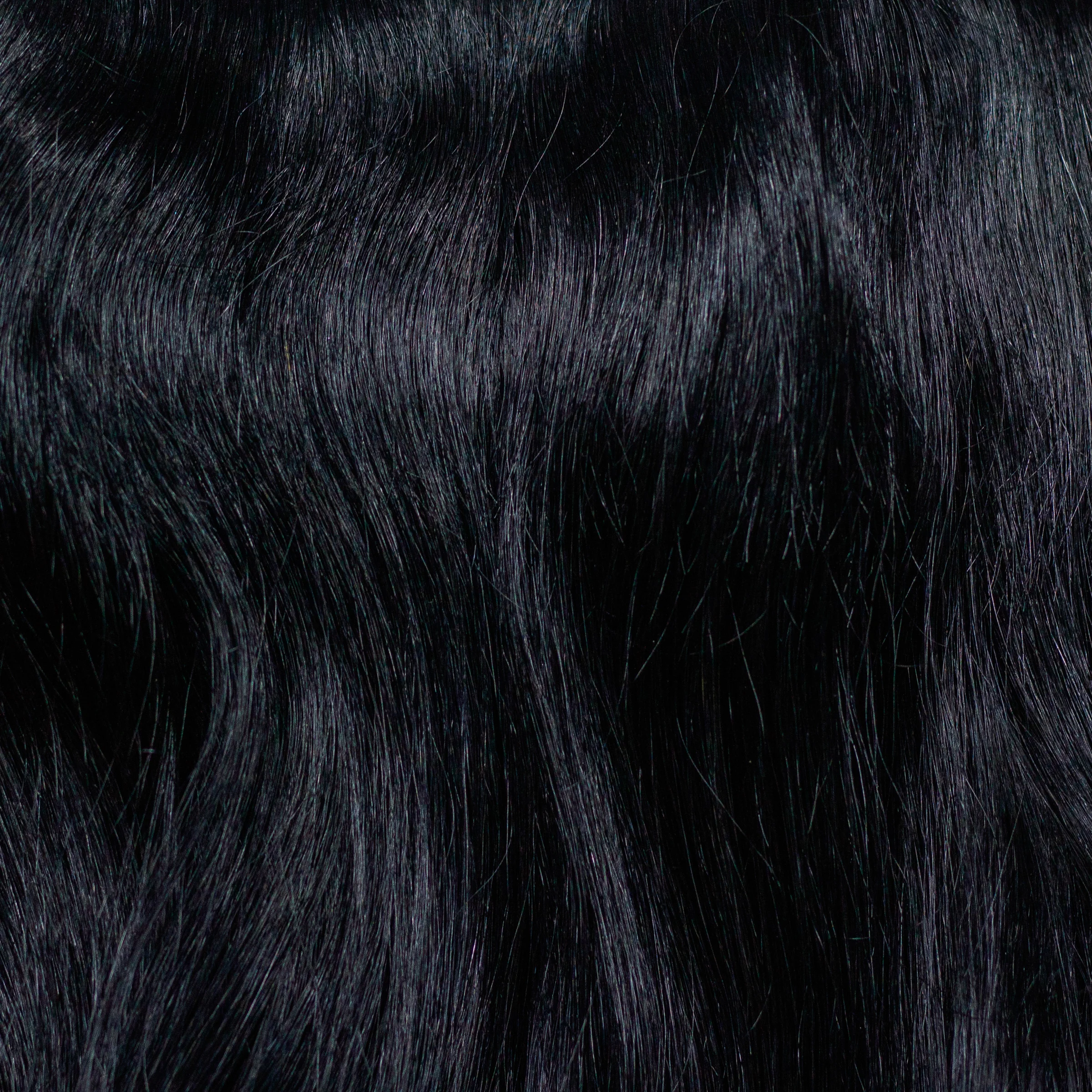 color negro 1 #