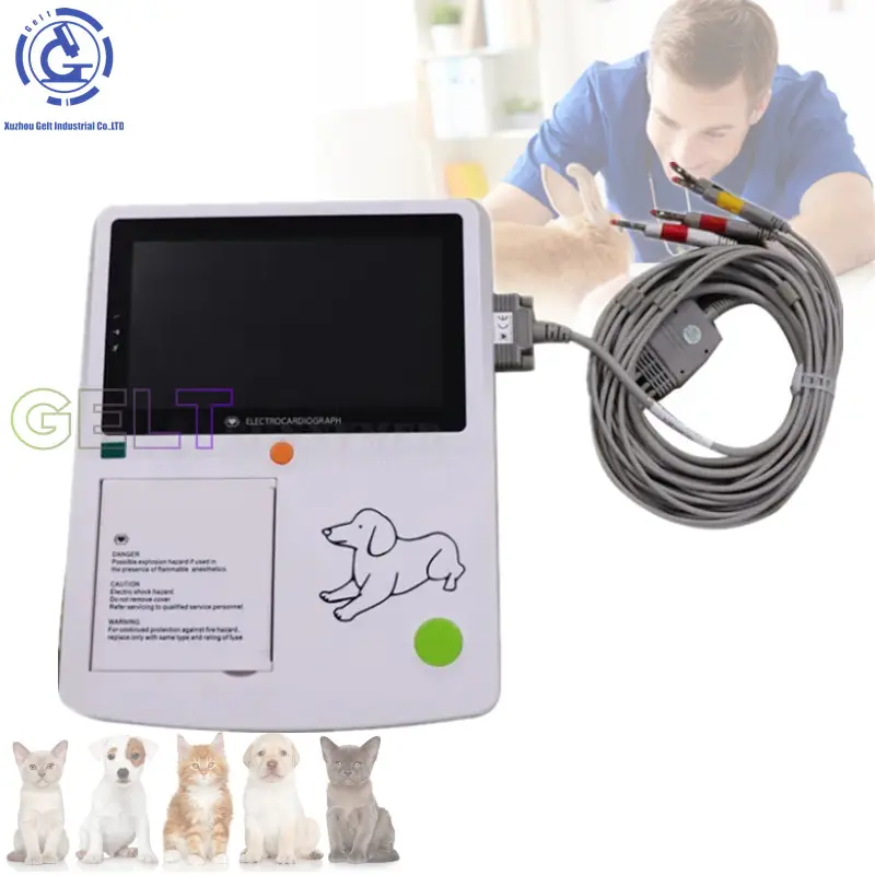 ECG portatile di uso veterinario 6 canali ad alta precisione ECG per EKG veterinario